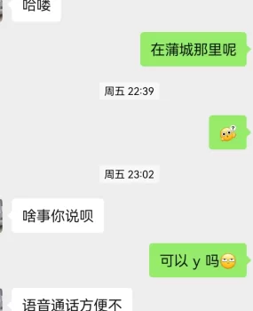 蒲城县车震,少妇 快点来试试